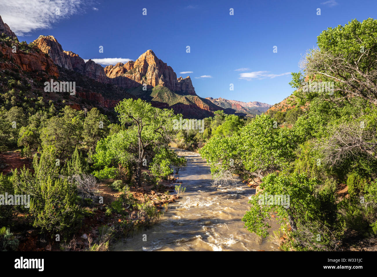 Zion Nationalpark, Utah, Vereinigte Staaten von Amerika Stockfoto
