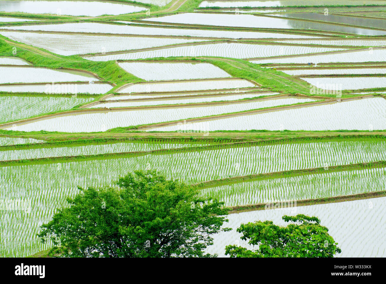 Tashinobusho, kostbare Dorf in Japan, die Welt landwirtschaftliche Welterbe Stockfoto