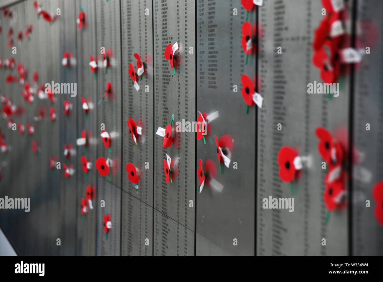 Rote Mohnblumen schmücken die Rolle der Ehre in der Air Force Museum in Christchurch, Neuseeland Stockfoto