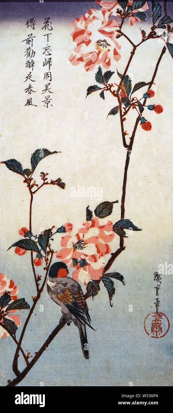 Kirschblüten und Vogel, von Utagawa Hiroshige, Edo Periode, 19. Jahrhundert Stockfoto