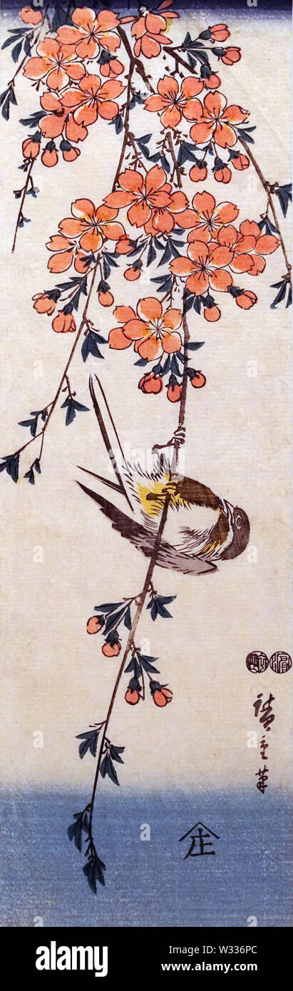 Auf Weepng Kirschbaum Vogel, von Utagawa Hiroshige, Edo Periode, 19. Jahrhundert Stockfoto