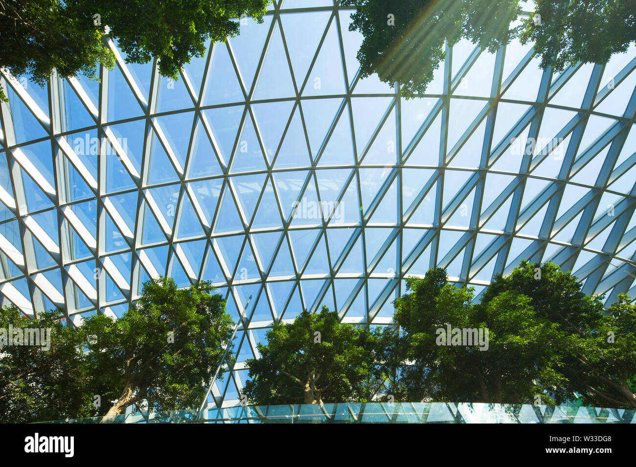 Interieur der Dach- und Bäume an Juwel Changi Airport, Singapur gepflanzt Stockfoto