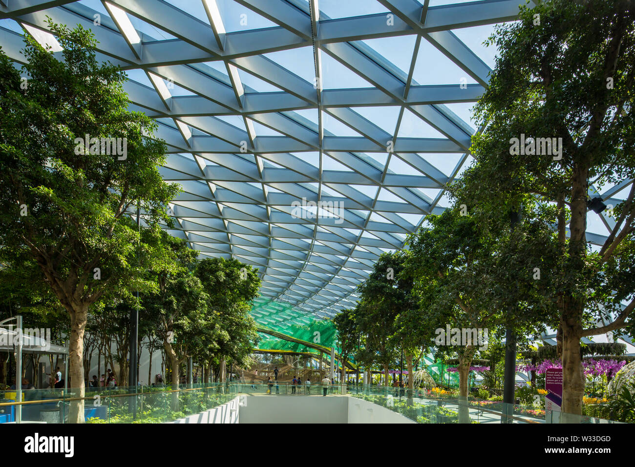 Die letzte Ebene von Jewel Changi Airport mit schönen Bäumen ordentlich gepflanzt, Singapur Stockfoto