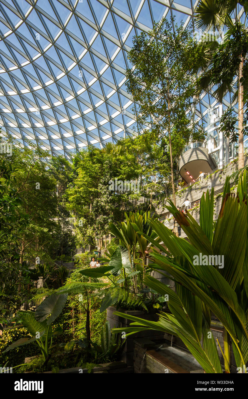 Anzeigen von Shiseido Wald Tal mit blauen Himmel bei Juwel Changi Airport, Singapur Stockfoto