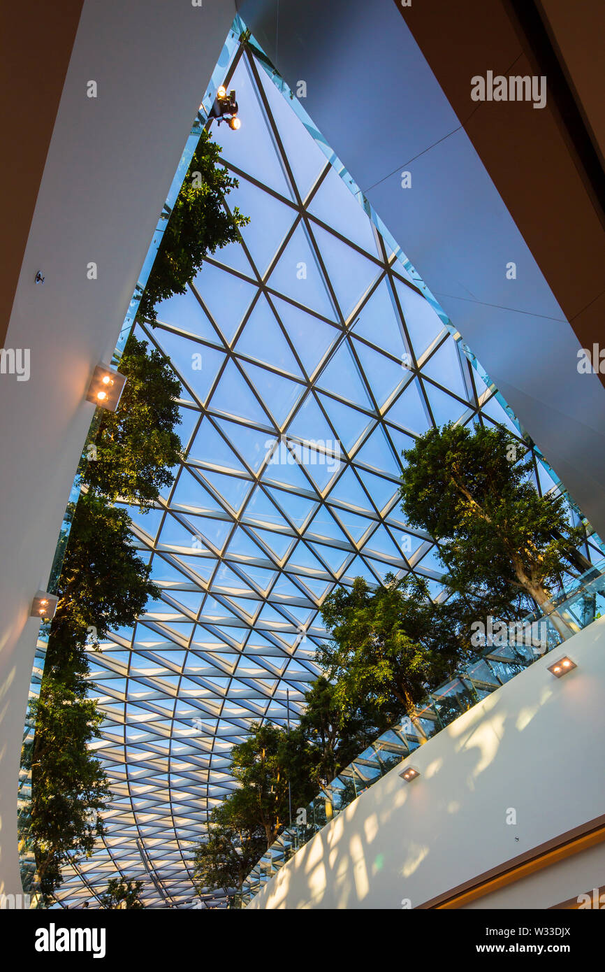 Anzeigen von Jewel Changi Airport Dach mit blauem Himmel und Bäume auf der letzten Etage gepflanzt, Singapur Stockfoto