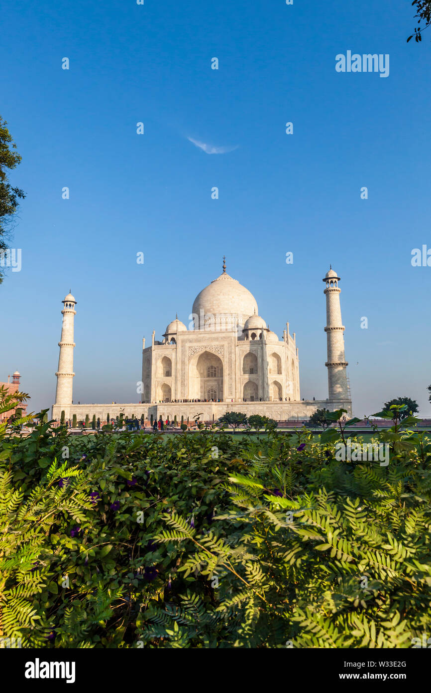 Das Taj Mahal am frühen Morgen wie aus einem Winkel von der Seite gesehen. Agra, Uttar Pradesh, Indien. Stockfoto