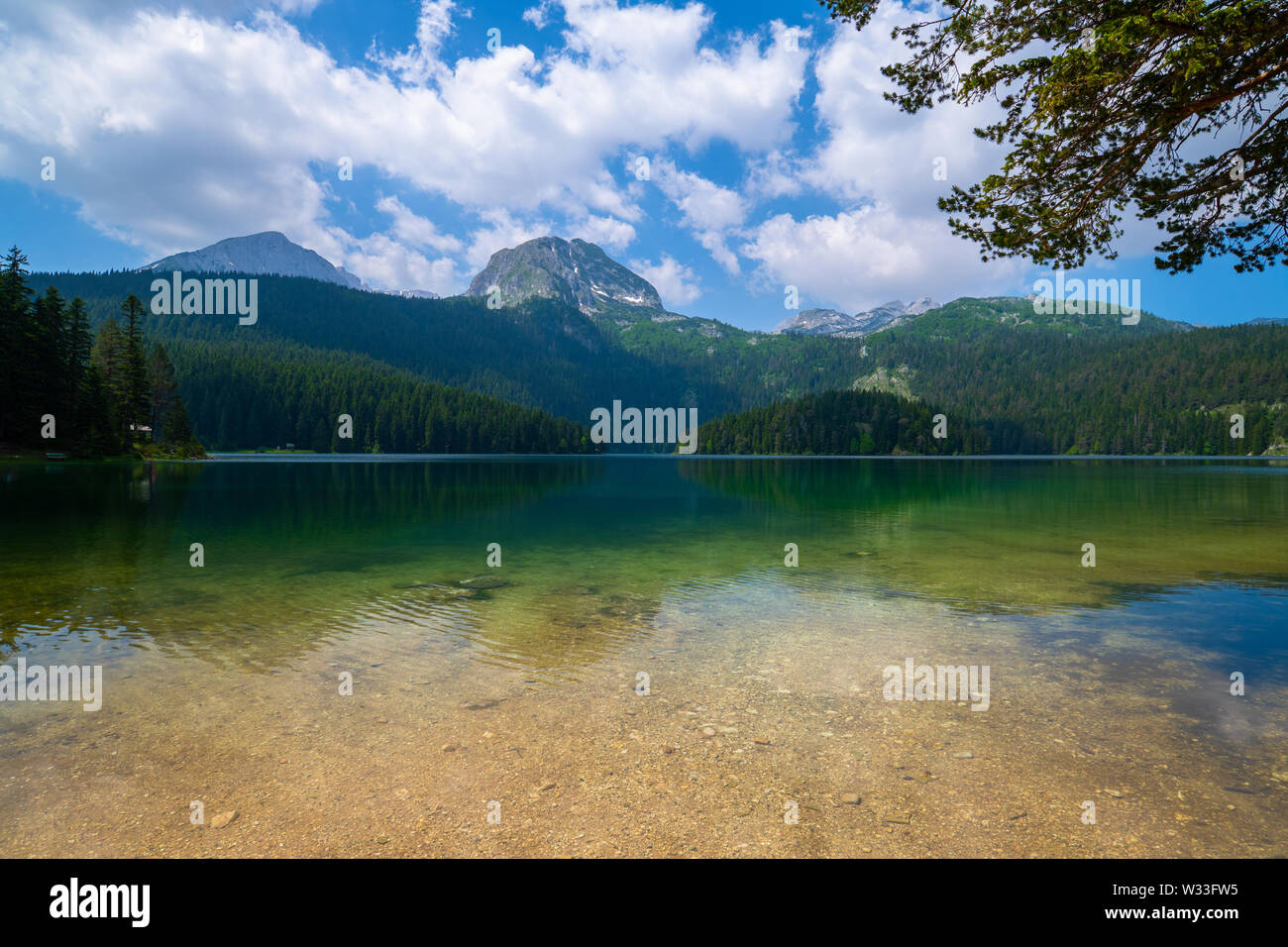 Montenegro, Schwarzer See in einem Durmitor Park Stockfoto