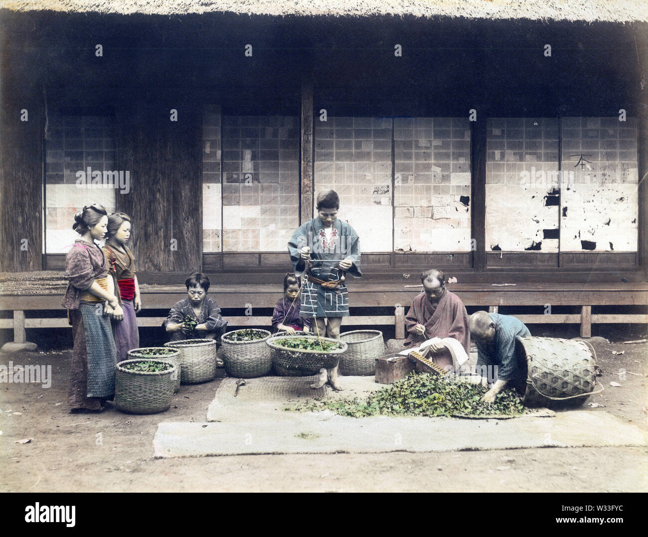 [1890s Japan - Japanische Bauern wiegen Tee] - ein Mann mit einem Gewicht von Tee, während andere Platten zu machen ist. Zwei Frauen sind auf der Suche. 19 Vintage albumen Foto. Stockfoto