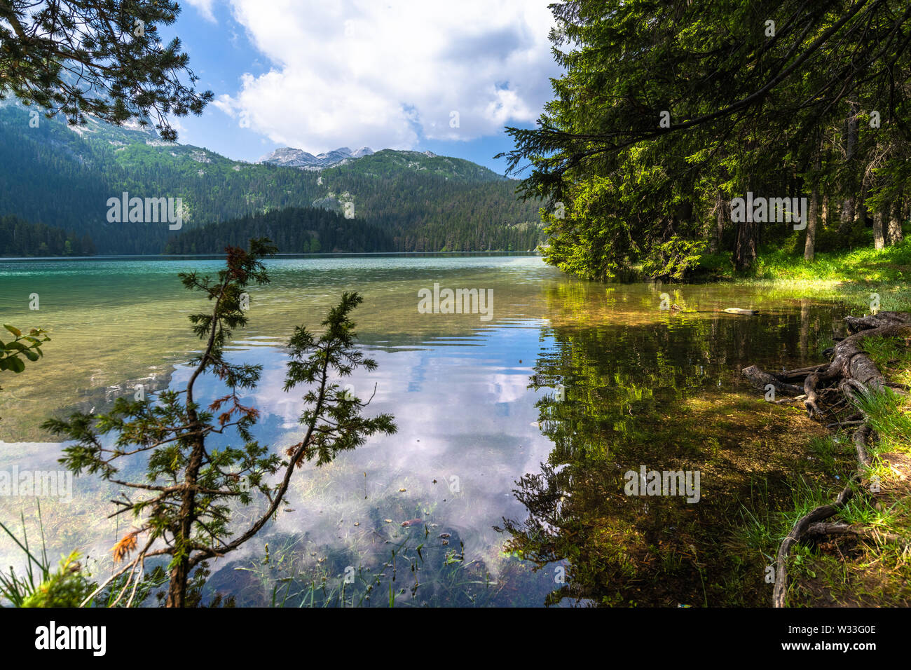 Montenegro, Schwarzer See in einem Durmitor Park Stockfoto