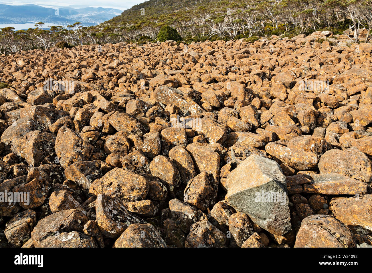 Hobart Australien/Dolerit Rost farbigen Felsen in der Nähe der Gipfel des Mount Wellington. Stockfoto