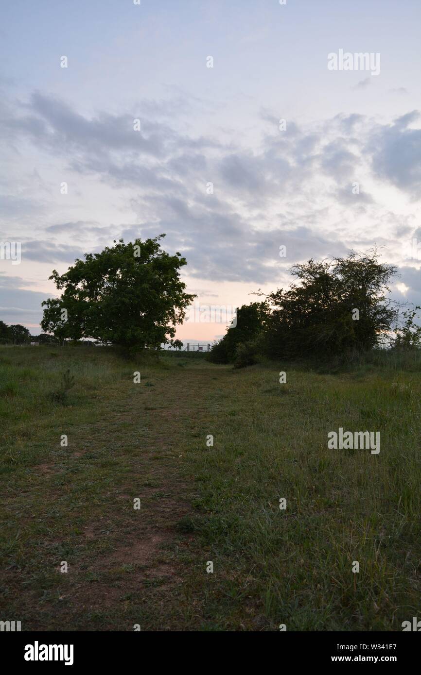 Landschaft, schattigen Bäumen mit pastell Schatten Sonnenuntergang Wolken Stockfoto