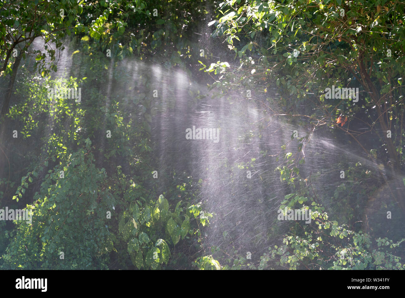 Spritzwasser, Parc des Buttes-Chaumont Stockfoto