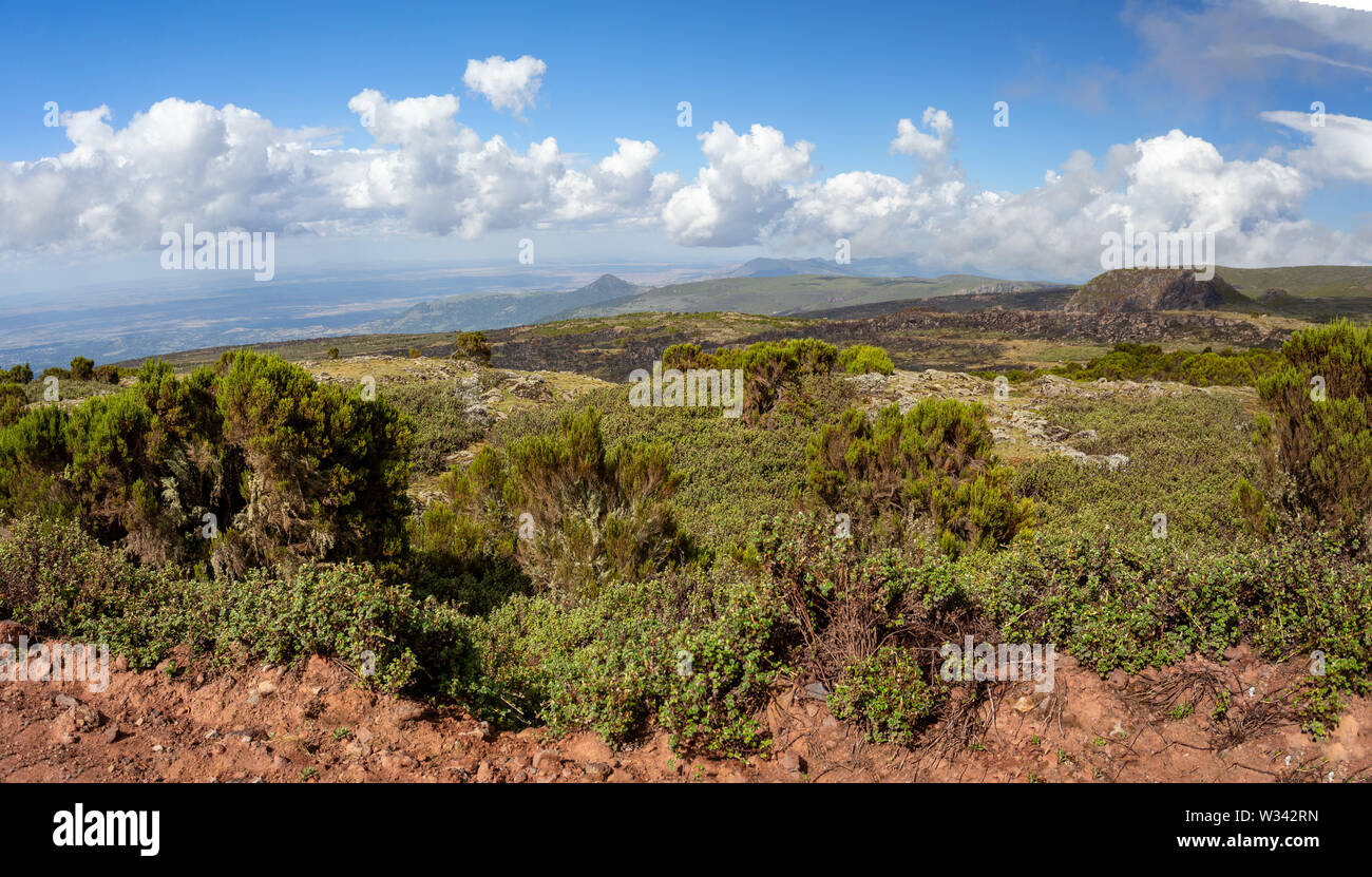 Landschaft der Äthiopischen Bale Mountains Nationalpark. Äthiopien Wildnis Natur pur. Sonnigen Tag mit blauen Himmel. Stockfoto