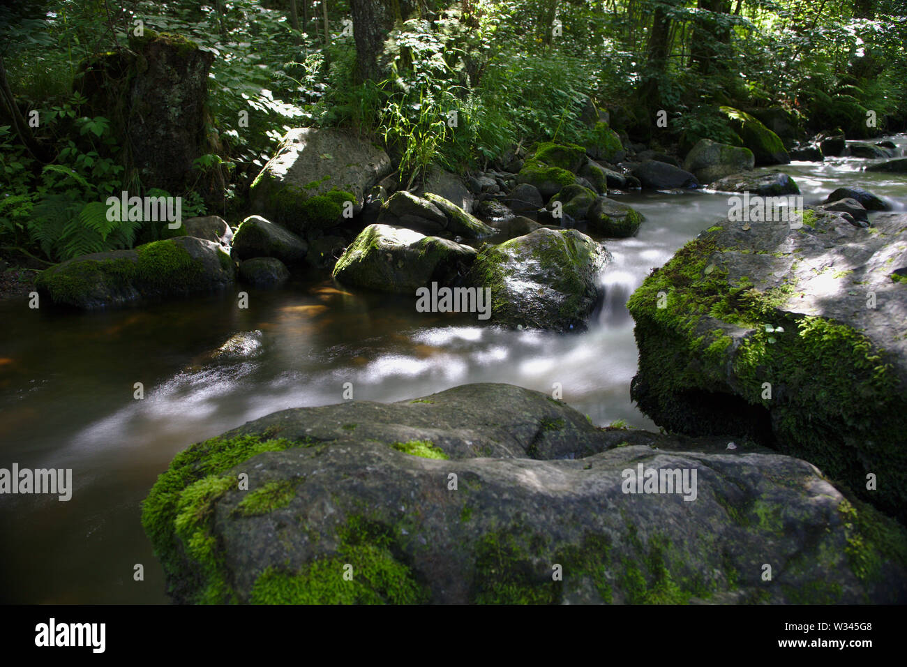 Wild River in den Wäldern der Ravennaschlucht Stockfoto