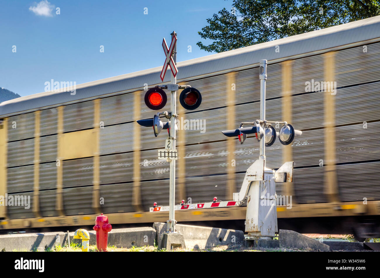 Güterzug in Bewegung auf einem Niveau croosing Stockfoto