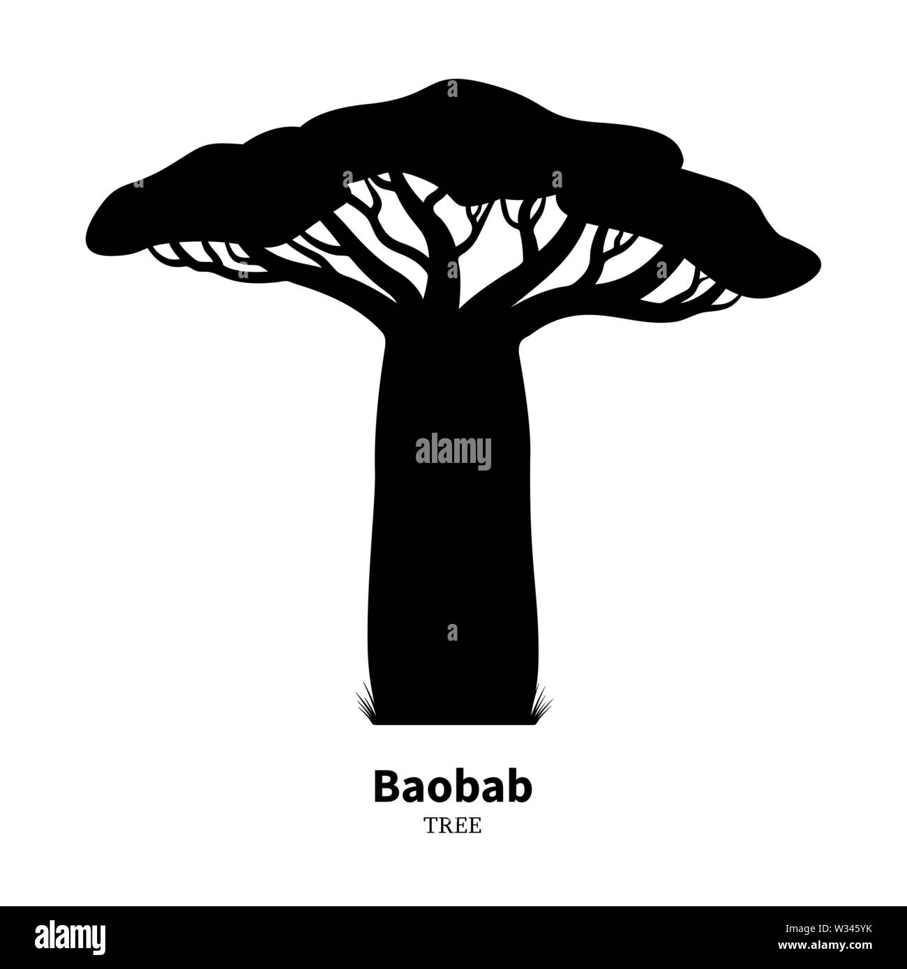 Schwarz Baobab Baum Silhouette Stock Vektor