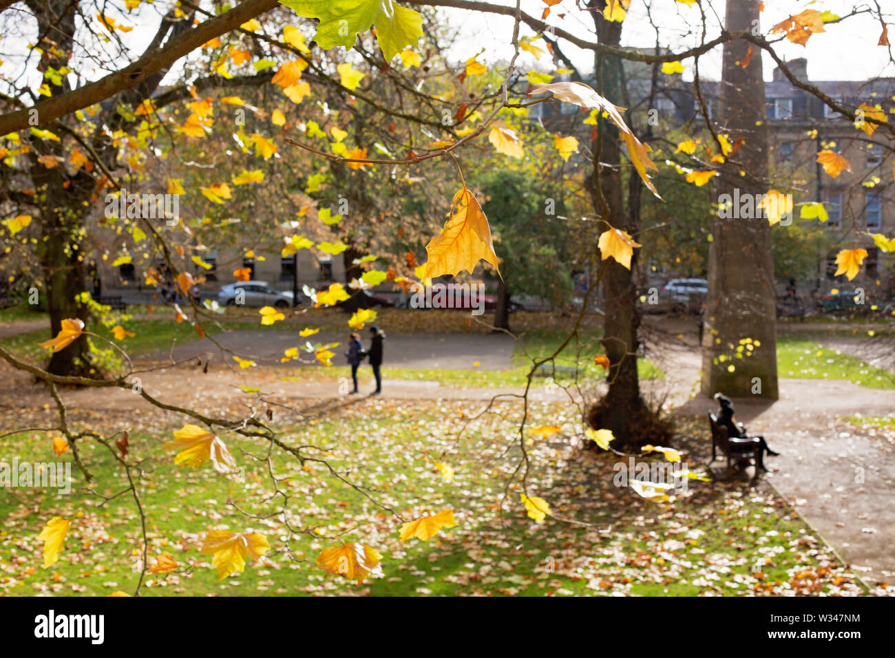 Paare Entspannen und genießen der Park unter den verstreuten Blätter im Herbst Stockfoto