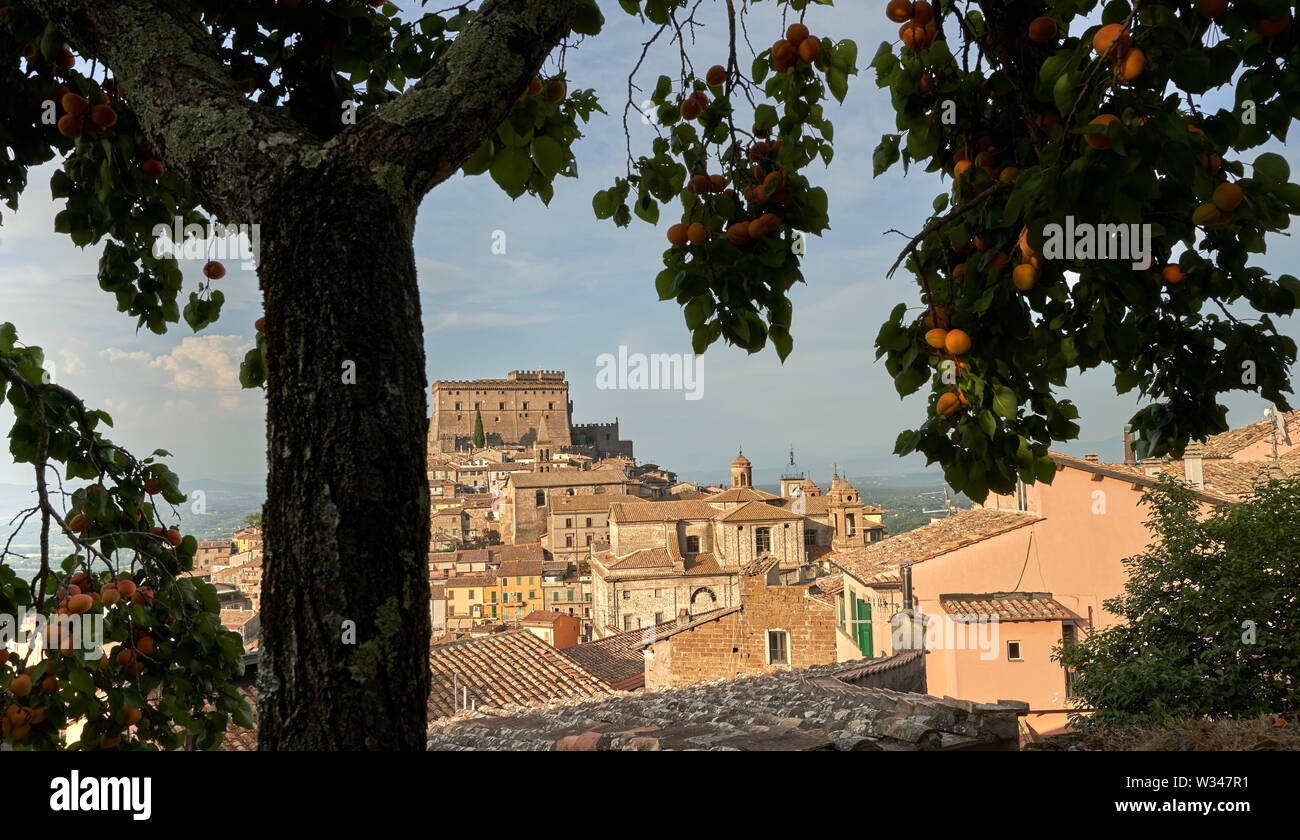 Die italienischen Dorf Soriano nel Cimino von Orsini Schloss sitzt auf der Spitze des Hügels durch einen aprikosenbaum gerahmte dominiert. Stockfoto