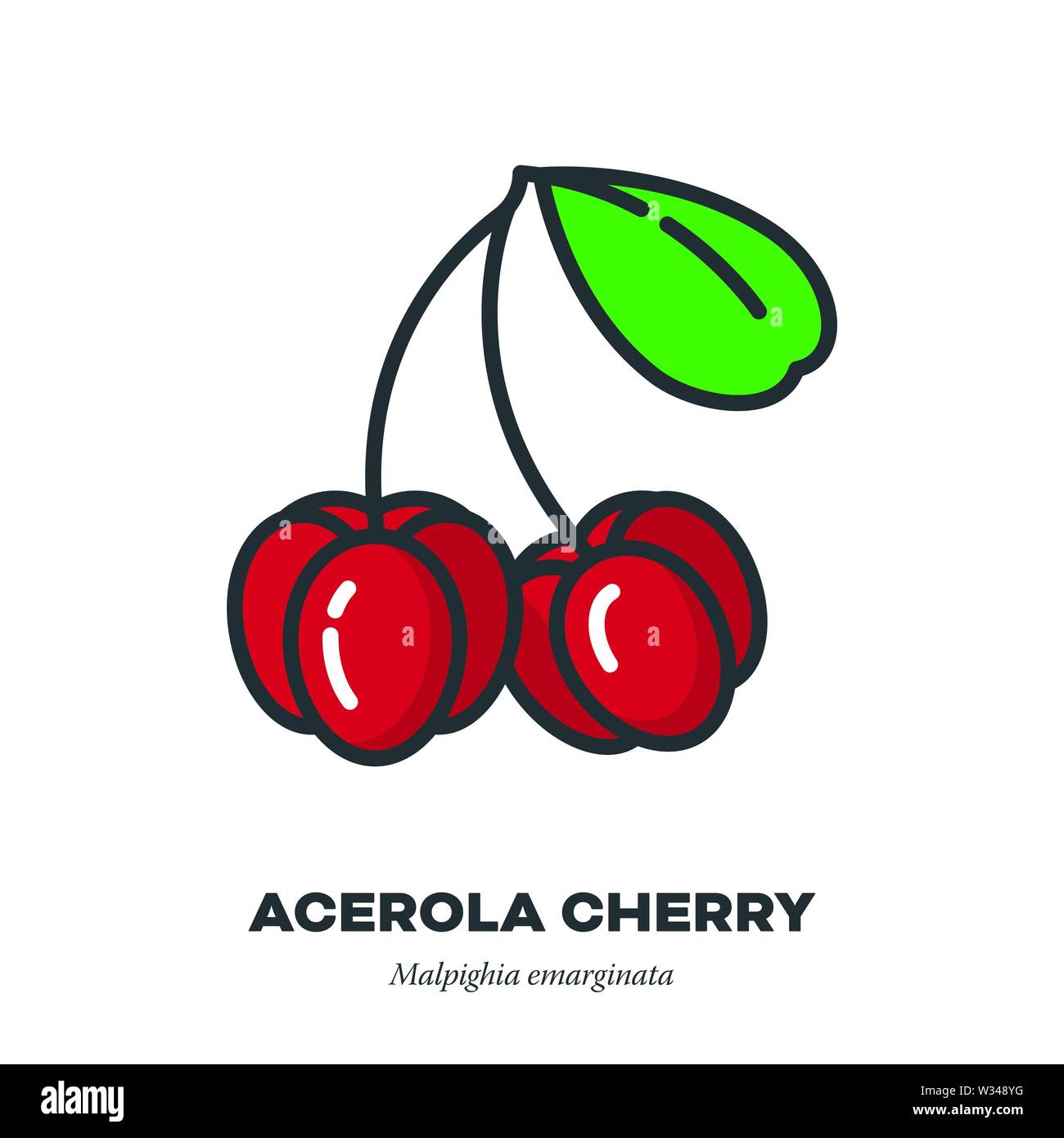 Acerola Kirsche Obst Symbol, Umriss mit Farbe füllen Stil Vector Illustration Stock Vektor
