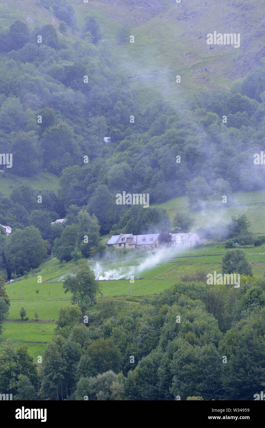 Brandrodung Landwirtschaft in den Hautes-Pyrenees Abteilung (obere Pyrenäen (Frankreich) Stockfoto