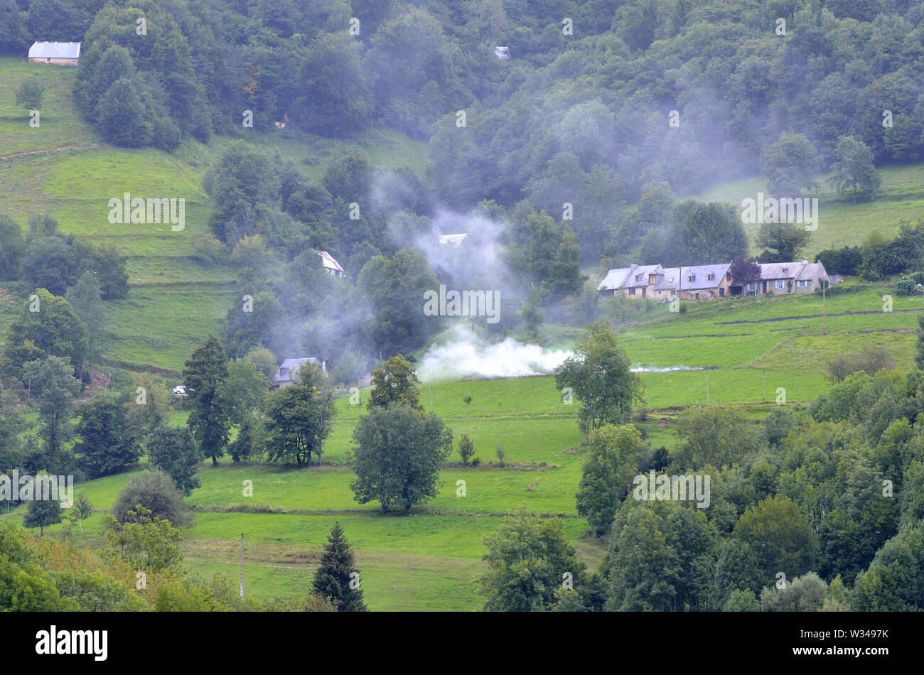 Brandrodung Landwirtschaft in den Hautes-Pyrenees Abteilung (obere Pyrenäen (Frankreich) Stockfoto