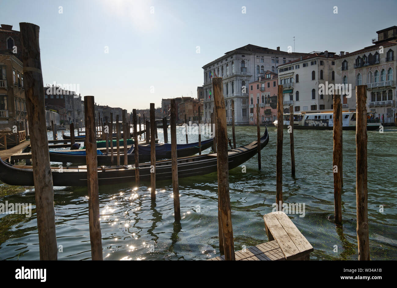 Venedig, Italien im Sommer. Die Grand Canal. Stockfoto