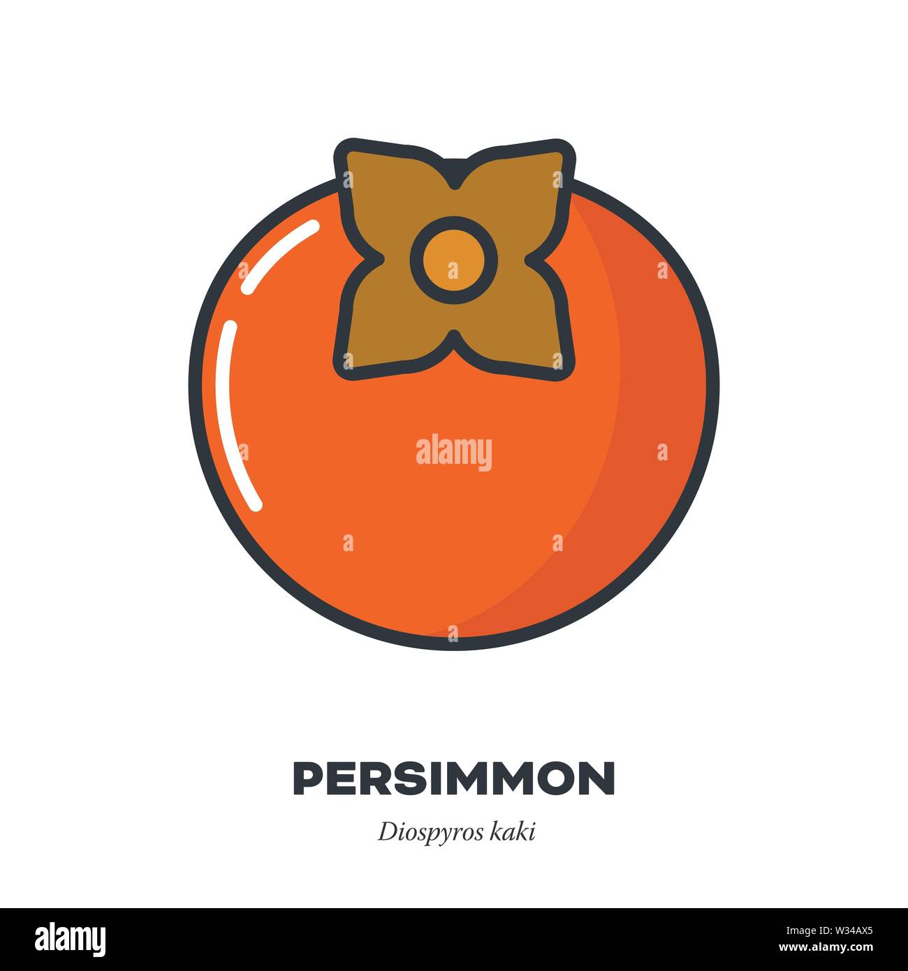 Persimone oder kakifrucht Symbol, Umriss mit Farbe füllen Stil Vector ...