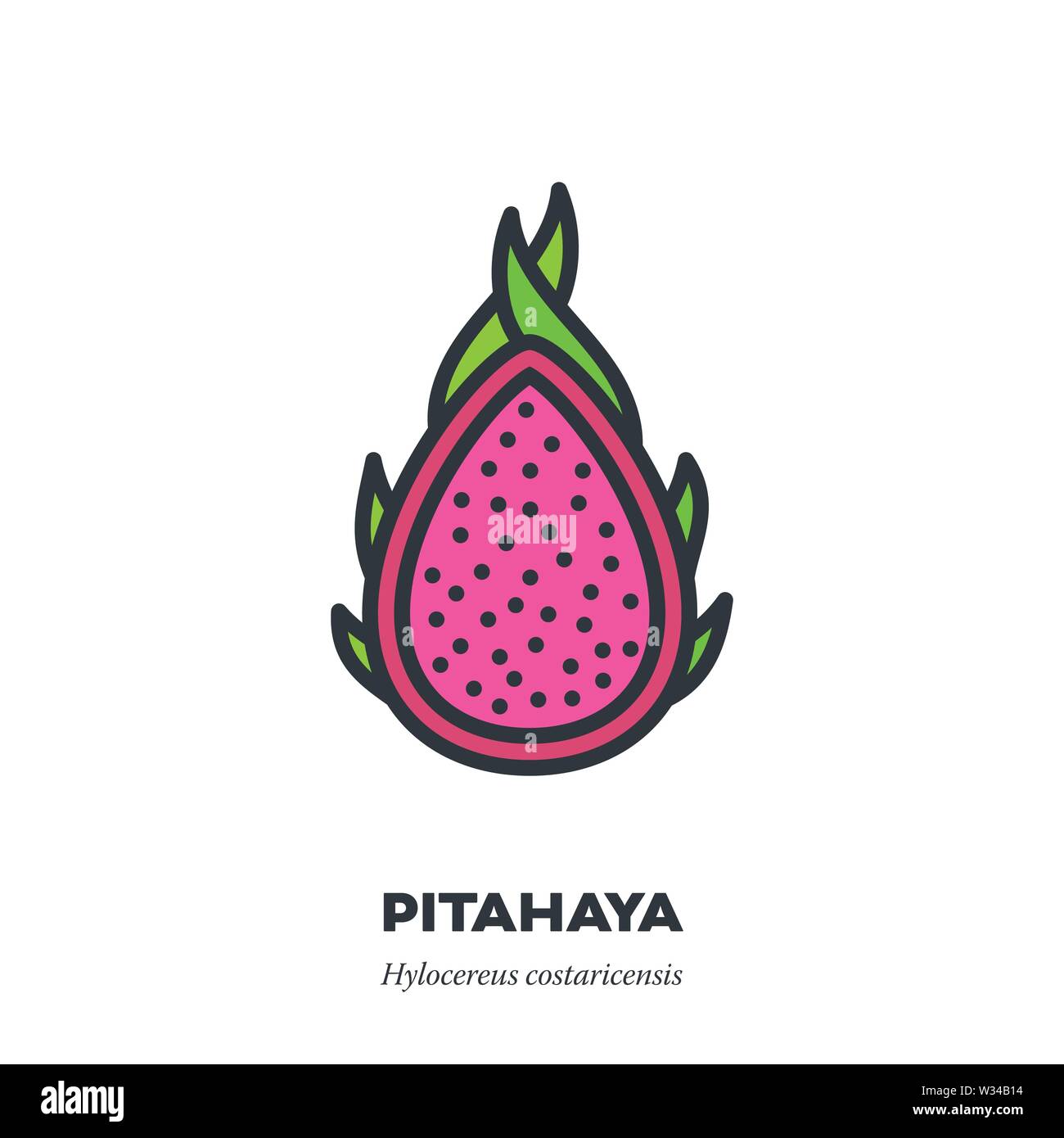 Pitahaya oder Drachenfrucht Symbol, Umriss mit Farbe füllen Stil Vector Illustration, Querschnitt der rosa Frucht Stock Vektor
