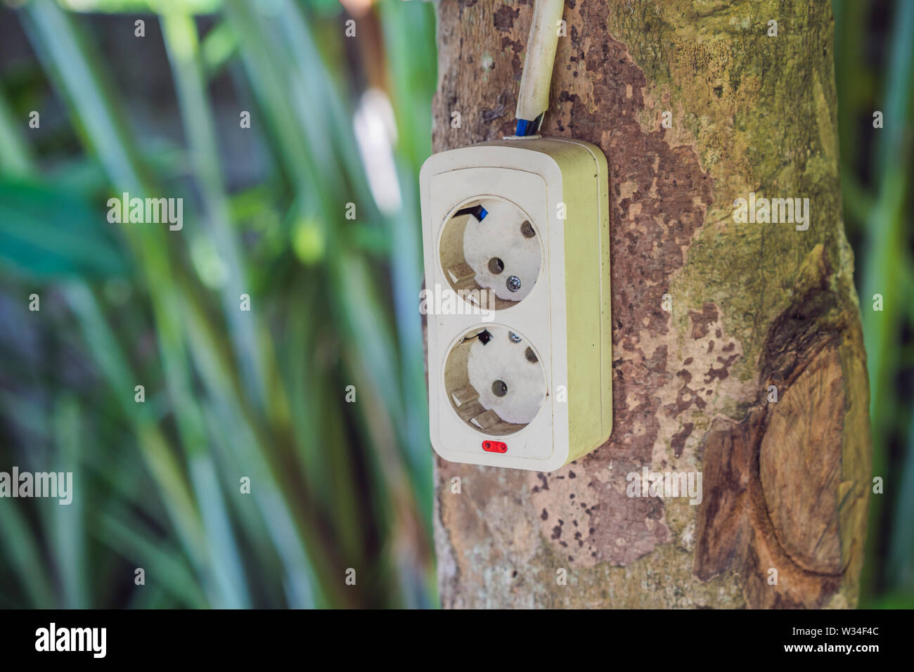 Grüne Natur Energiekonzept, Steckdose am Baum. Digitale Nomaden Konzept Stockfoto