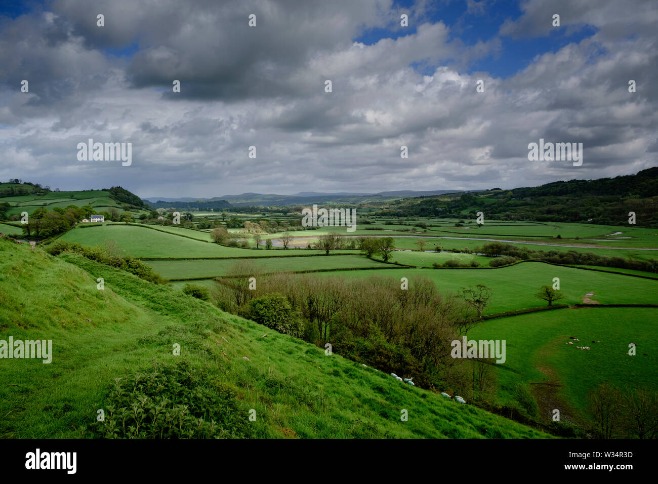 Wandern in der Towy Valley Llandeilo Carmarthenshire Wales Stockfoto