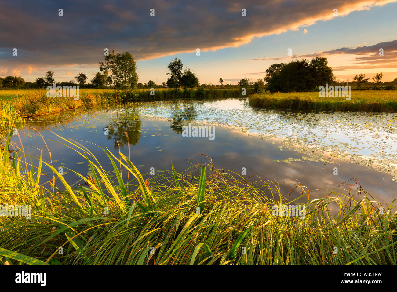 Eine mäandernden Fluss im Sommer mit üppigem Gras und warmen Abend Licht mit hellem Sonnenlicht - reest - Reestdal, Meppel, Niederlande Stockfoto