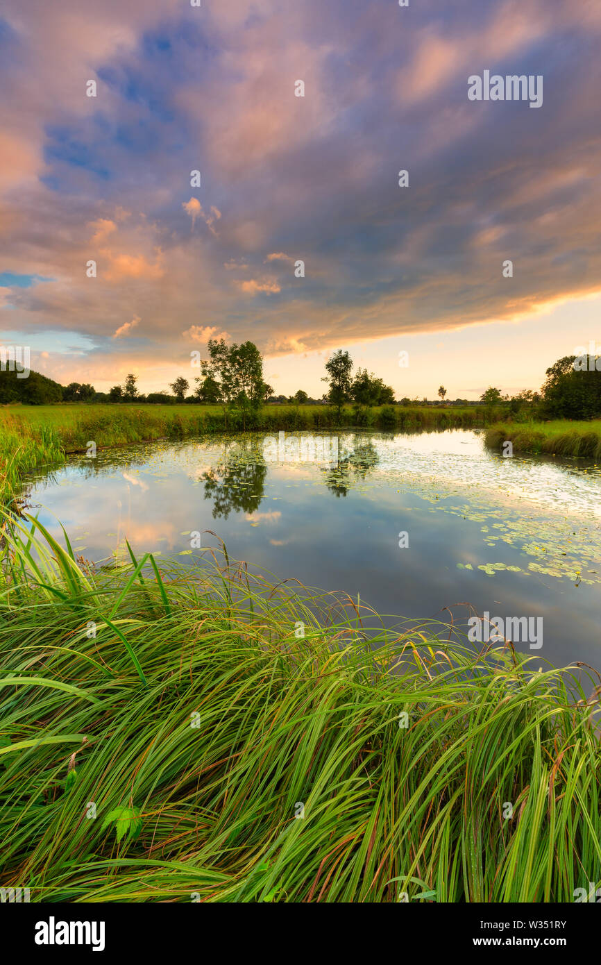 Eine mäandernden Fluss im Sommer mit üppigem Gras und warmen Abend Licht mit hellem Sonnenlicht - reest - Reestdal, Meppel, Niederlande Stockfoto