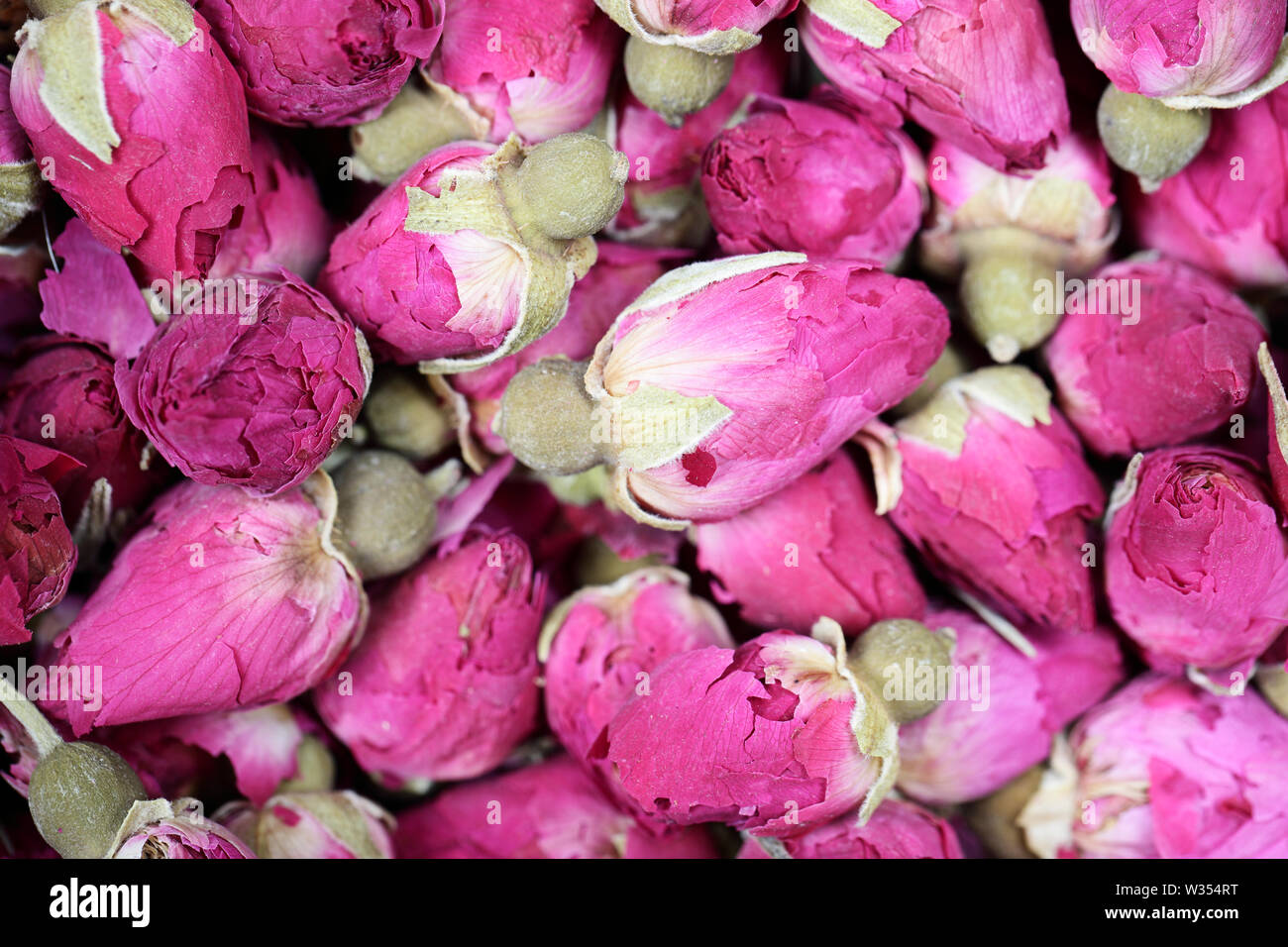 Getrocknete rosenblütenblätter Hintergrund Textur closeup. Rosa Rose Makro Nahaufnahme von Heap. Stockfoto