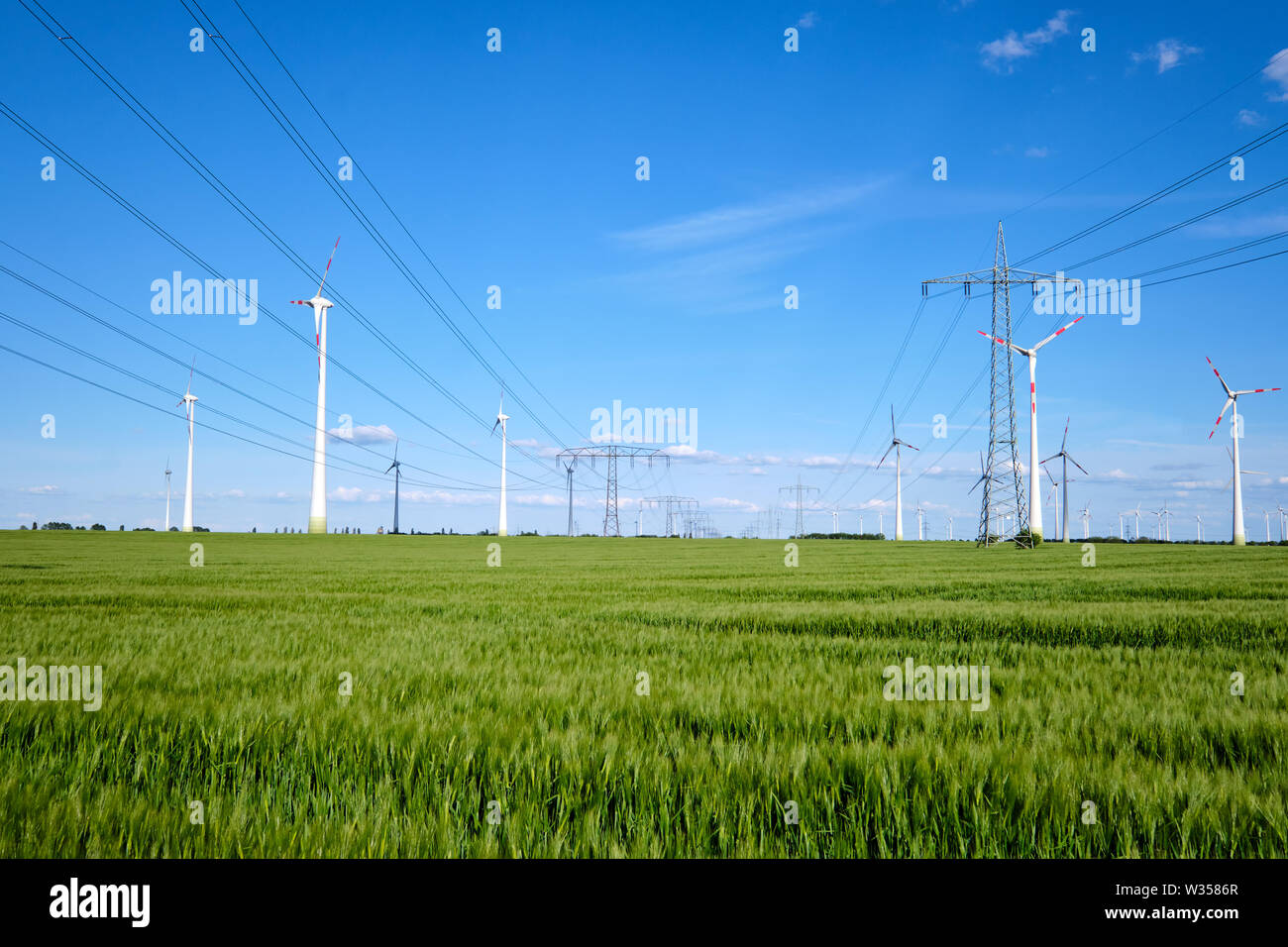 Windenergieanlagen und Stromleitungen in einem Maisfeld in Deutschland gesehen Stockfoto