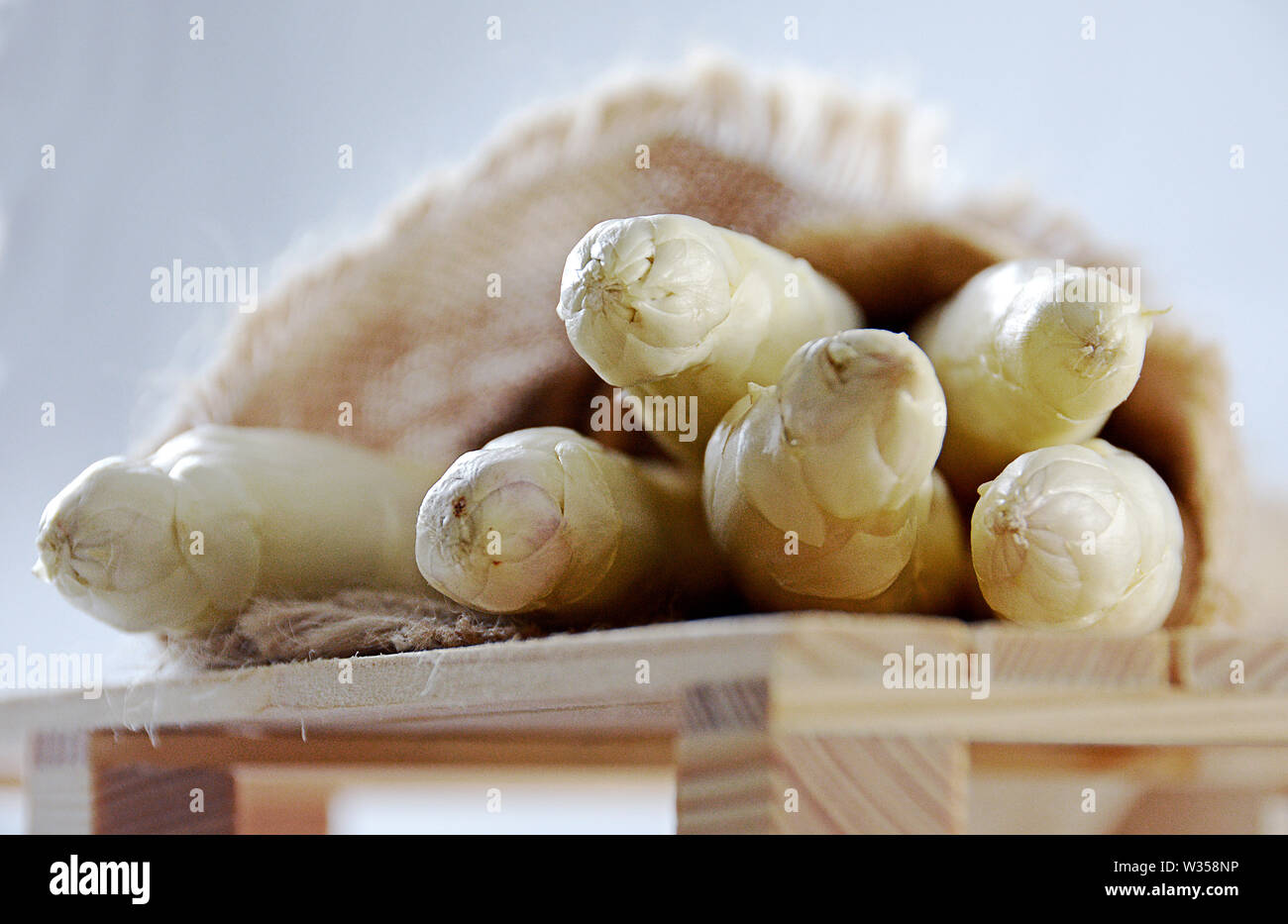 Weißer Spargel frisch im marchfeld Österreich geerntet, und wie ein Gericht mit Sauce und Seet pea Pods gekocht Stockfoto