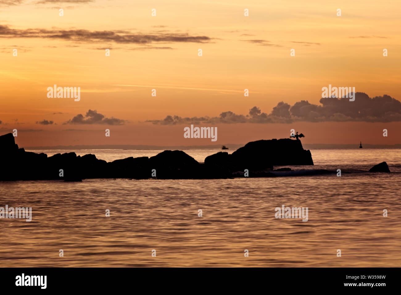 Kormoran mit ausgebreiteten Flügeln, Sonnenaufgang über Mounts Bay, Cornwall, England, Großbritannien. Stockfoto