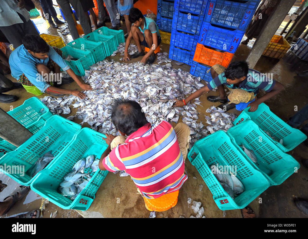 Juli 12, 2019 - Digha, West Bengal, Indien - Fischer besetzt Sortierung Angeln am Fisch Handelsplatz der Digha in der Nähe der Bucht von Bengalen. Wegen des Mangels an Regen, Versorgung mit Fisch ist sehr unregelmäßig und weniger Vergleichende als andere Jahre.. Lokale Regierung beschränkt die Fangtätigkeiten so vor kurzem Insgesamt 31 Fischer gegangen sind, fehlt in der Bucht von Bengalen wegen schlechten Wetters (Credit Bild: © Avishek Das/SOPA Bilder über ZUMA Draht) Stockfoto