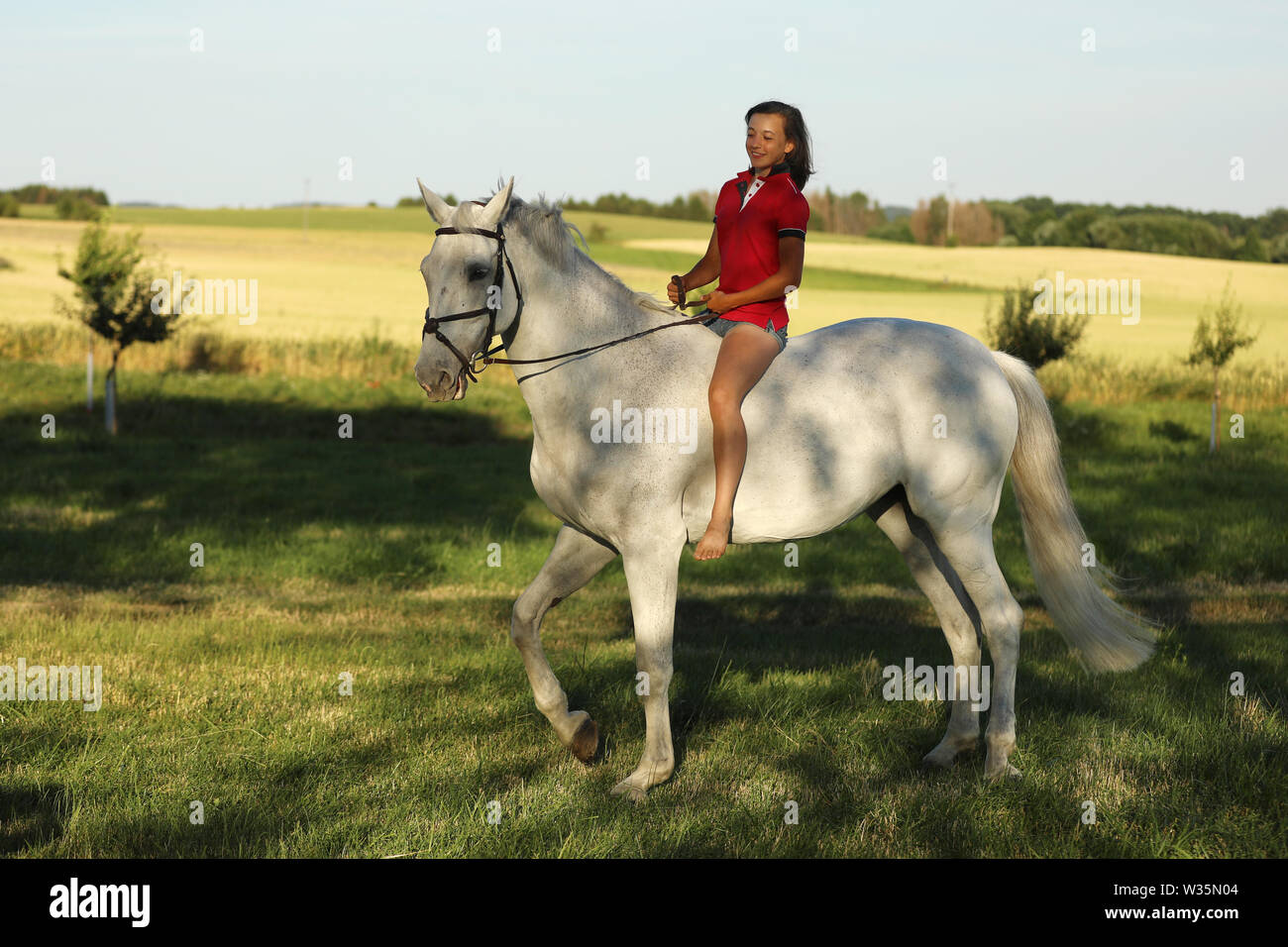 Jugendlich Mädchen auf weißem Pferd ohne auf der Wiese am späten Nachmittag Sattel Stockfoto