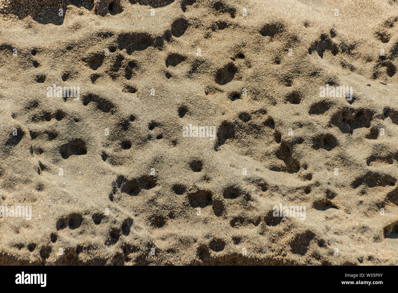 Details aus Sandstein Textur Hintergrund. Die Oberfläche mit Depressionen und Gruben unter dem Einfluss von Wind und Meer surfen gebildet. Schöne natürliche Sand Stockfoto