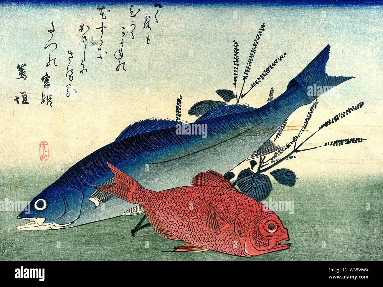 Suzuki 鱸 (Japanische Wolfsbarsch, Japanisch Dace), Kinmedai alfonsino 金目鯛 (Splendid) Utagawa Hiroshige Holzschnitt von Uozukushi (jede Vielzahl der Fische) Stockfoto