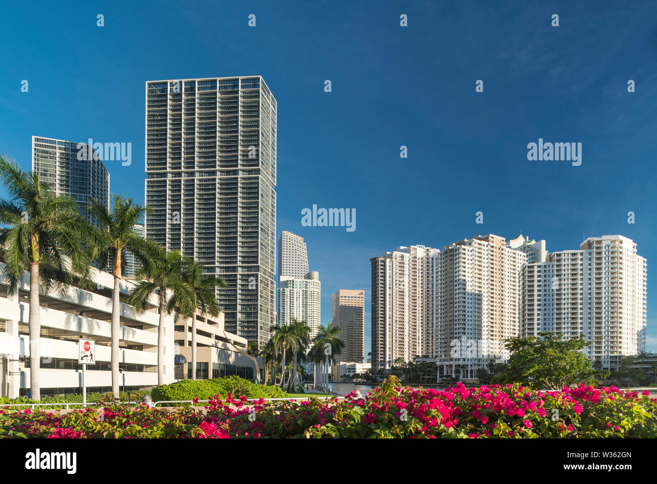 BRICKELL AVENUE SKYLINE MIAMI RIVER in Downtown Miami Florida USA Stockfoto