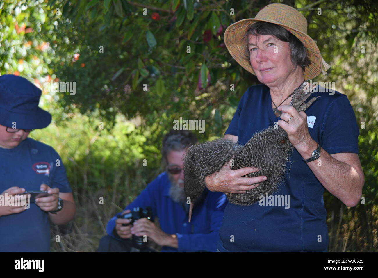 ATARAU, NEUSEELAND, 31. JANUAR 2019: naturschützer Jo Keppell hält eine große spotted Kiwi, Apteryx haastii, in einem öffentlichen Vortrag über die Arbeit inv Stockfoto
