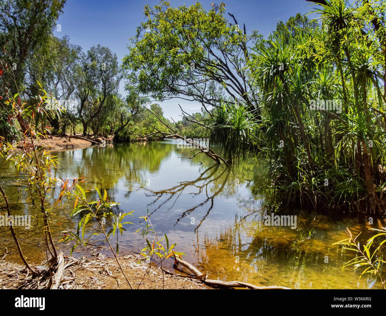 Katherine River, Northern Territories, Australien Stockfoto