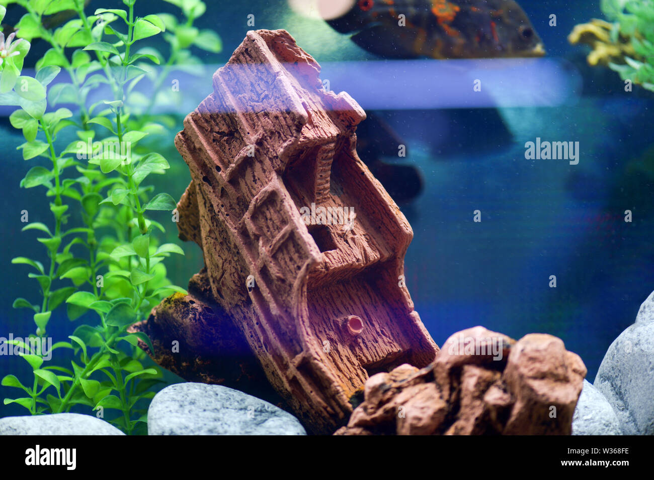 Schöne und kreative Gestaltung der Aquarium versenkt Schiff auf einem blauen Hintergrund. Horizontale Fotografie Stockfoto