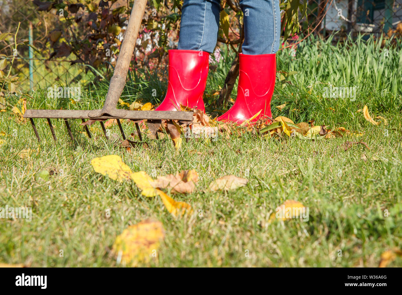 Weibliche Gärtner in roten Gummistiefel reinigt ein Garten mit den