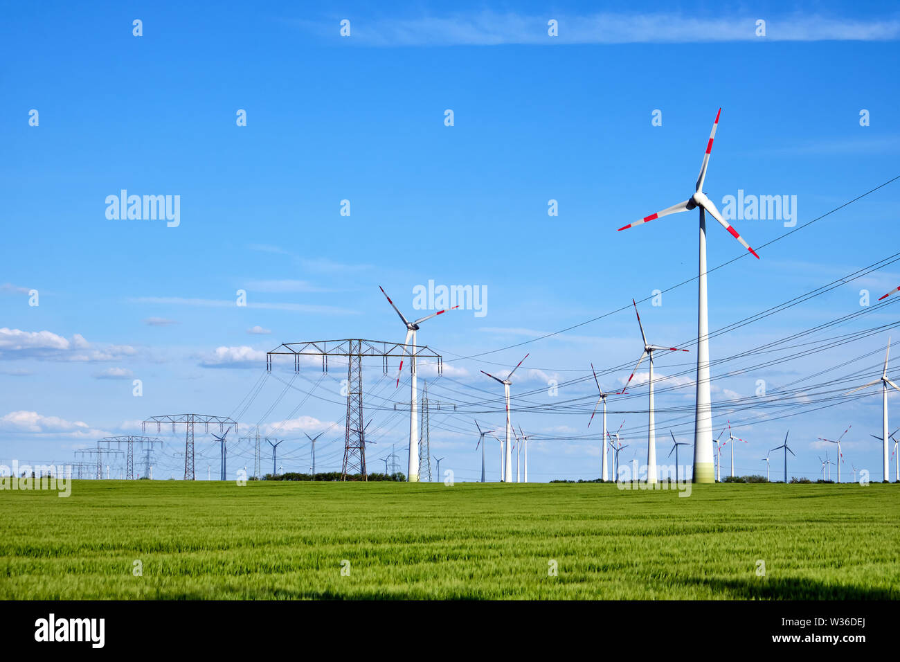 Windenergieanlagen und Stromleitungen in einem Maisfeld in ländlichen Deutschland Stockfoto