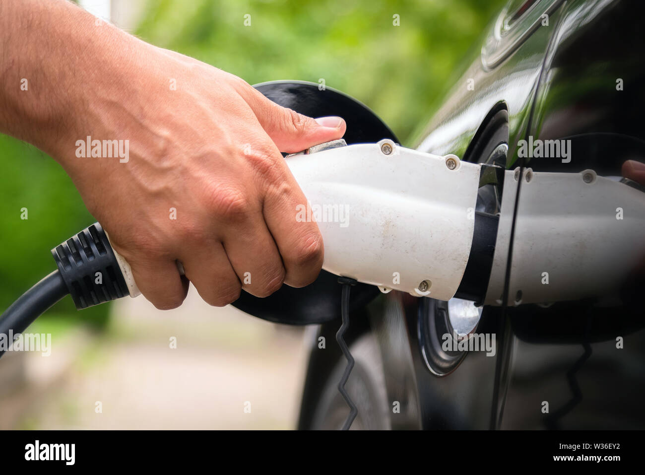 Mans Hand einfügen Ladestecker in elektrische Auto in grüner Umgebung. Neue Energie Fahrzeug, NEV wird mit Strom Strom geladen. Eg Stockfoto