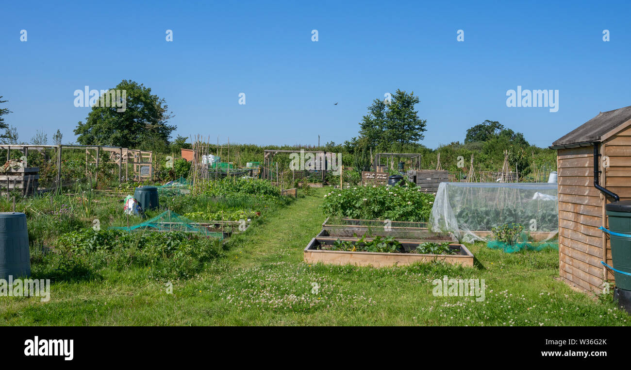 Die typisch englischen Dorf gemeinschaft Schrebergarten für den Anbau von Obst und Gemüse Stockfoto
