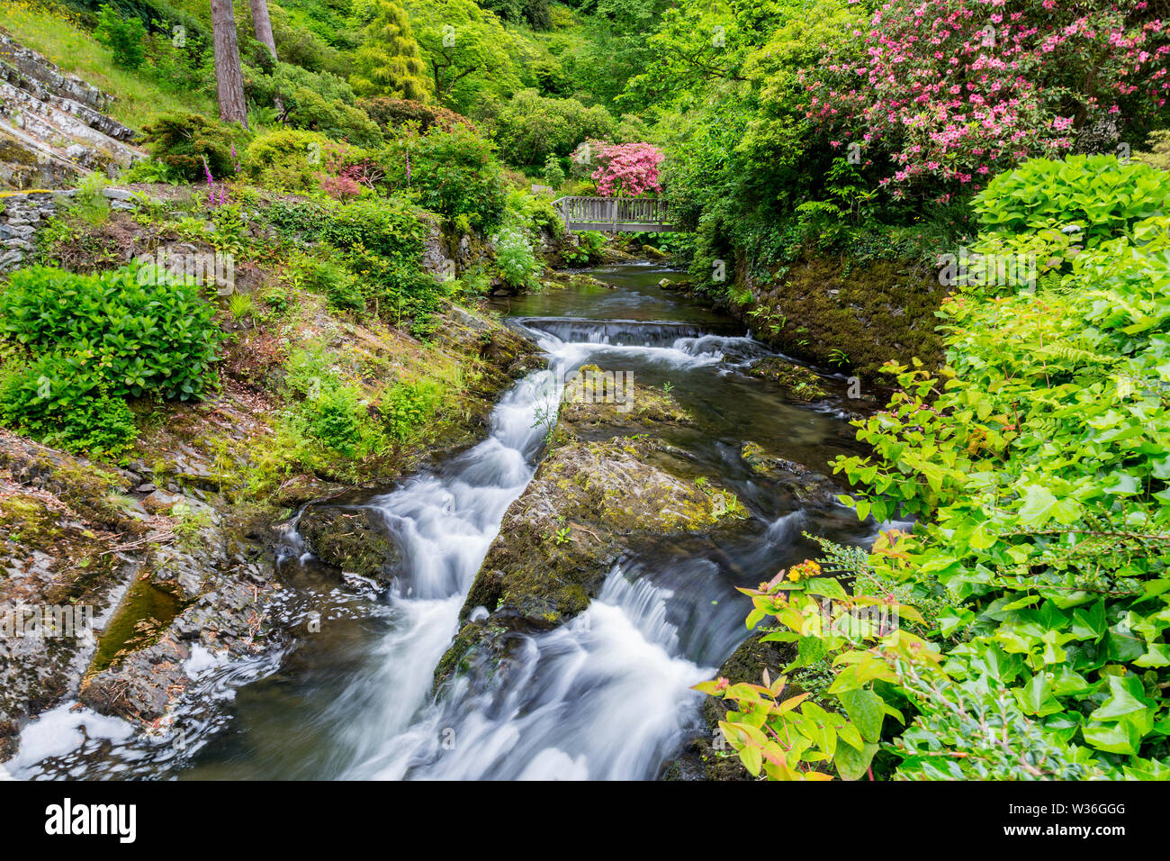 Wasserfälle und Stromschnellen in den bewaldeten 'Dell' an Bodnant Gardens, Conwy, Wales, Großbritannien Stockfoto