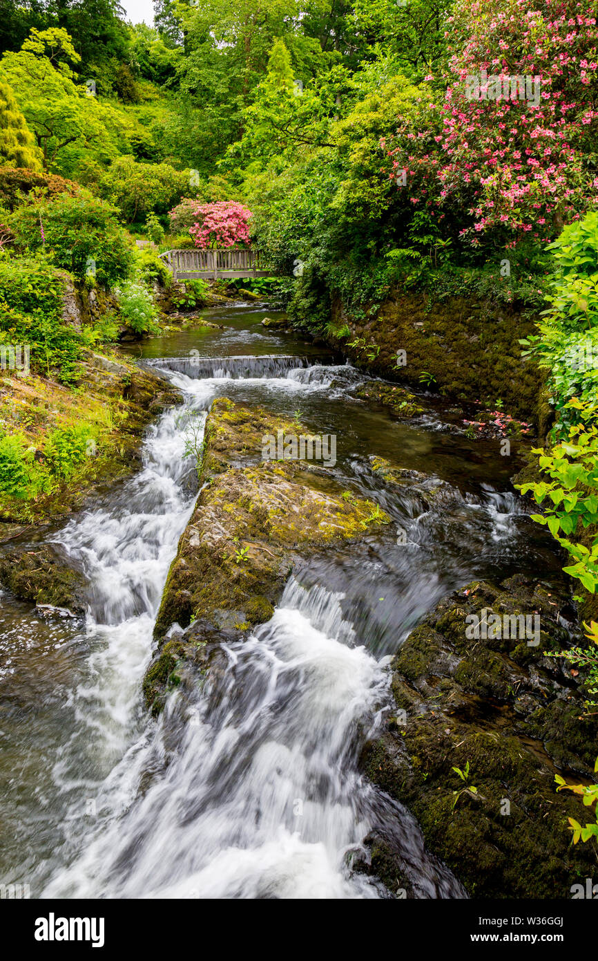 Wasserfälle und Stromschnellen in den bewaldeten 'Dell' an Bodnant Gardens, Conwy, Wales, Großbritannien Stockfoto